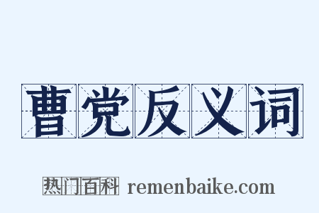 曹党反义词是什么意思的图片